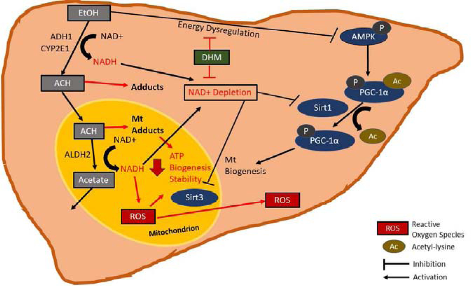 Fig 4.