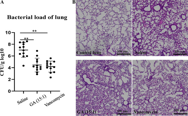 FIG 3