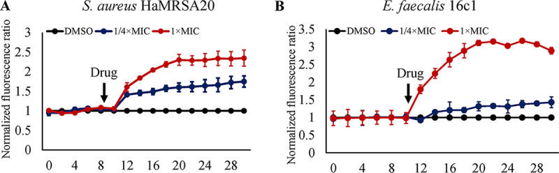 FIG 6