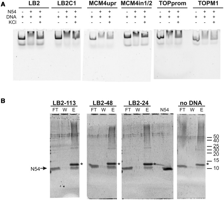 Figure 5.