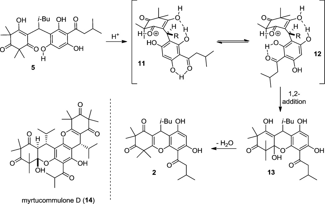 Scheme 3