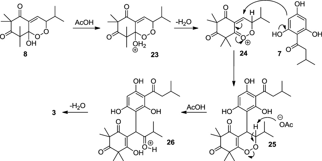 Scheme 8