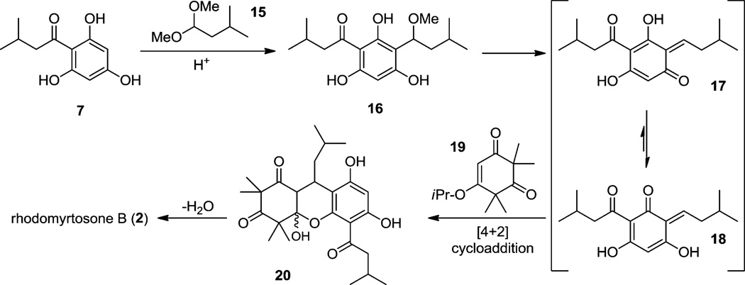 Scheme 5