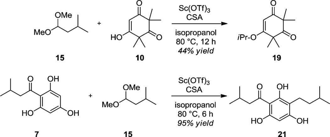 Scheme 6