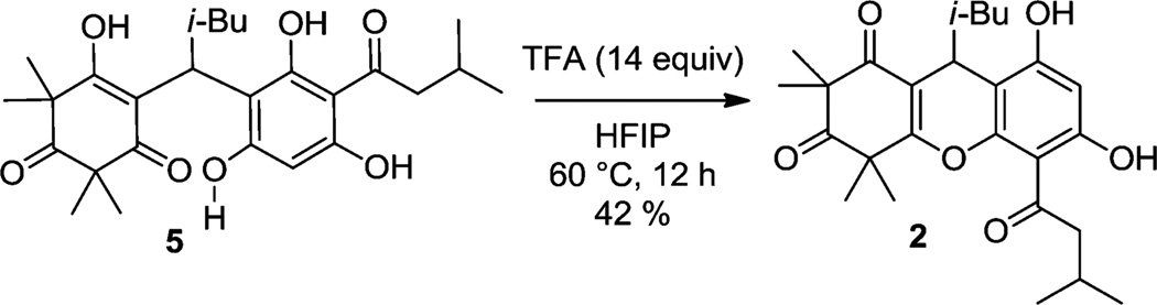 Scheme 2