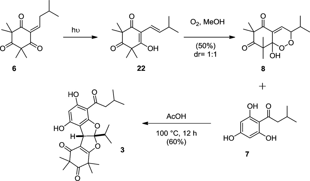 Scheme 7