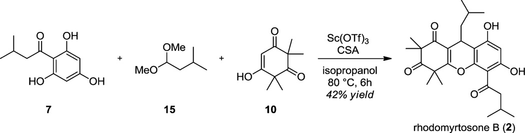 Scheme 4