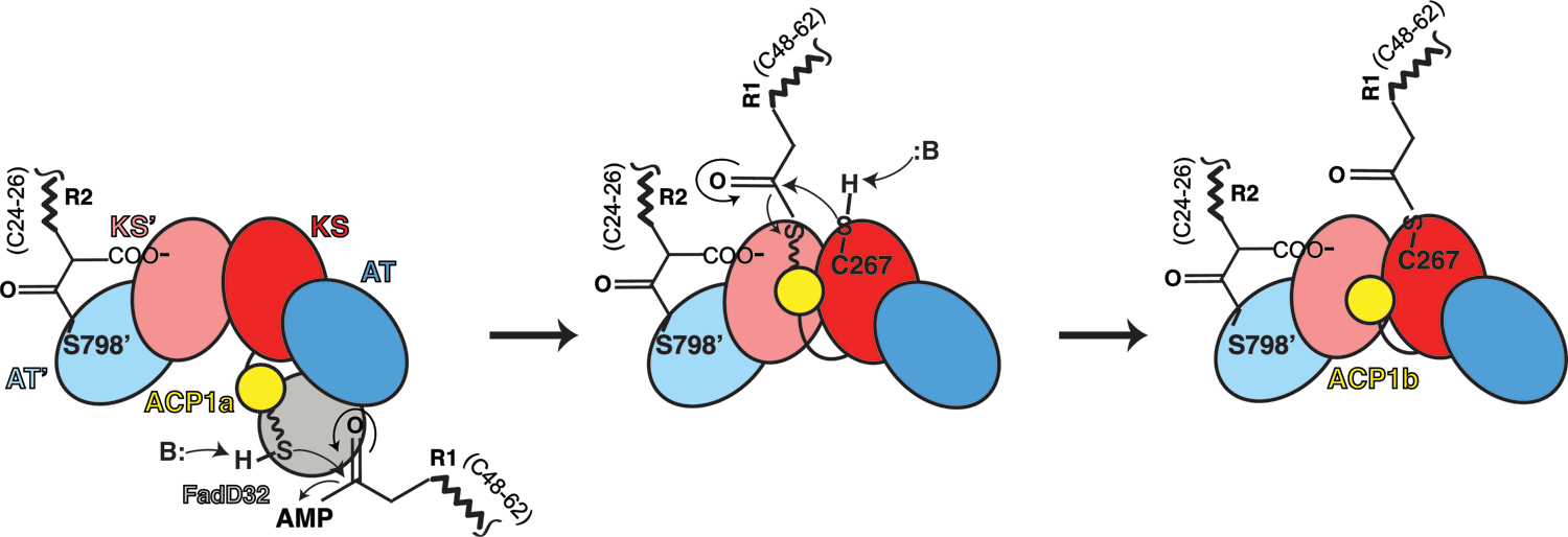 Fig 7.