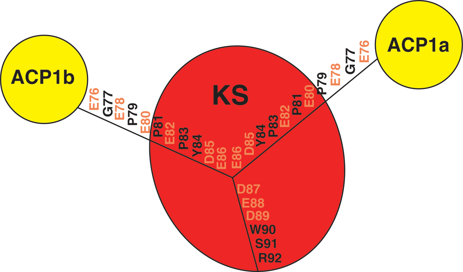 Extended Data Fig. 2