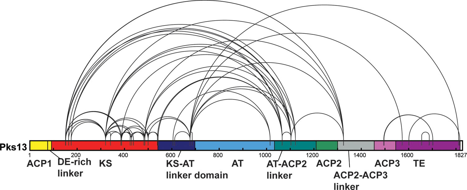 Extended Data Fig. 9