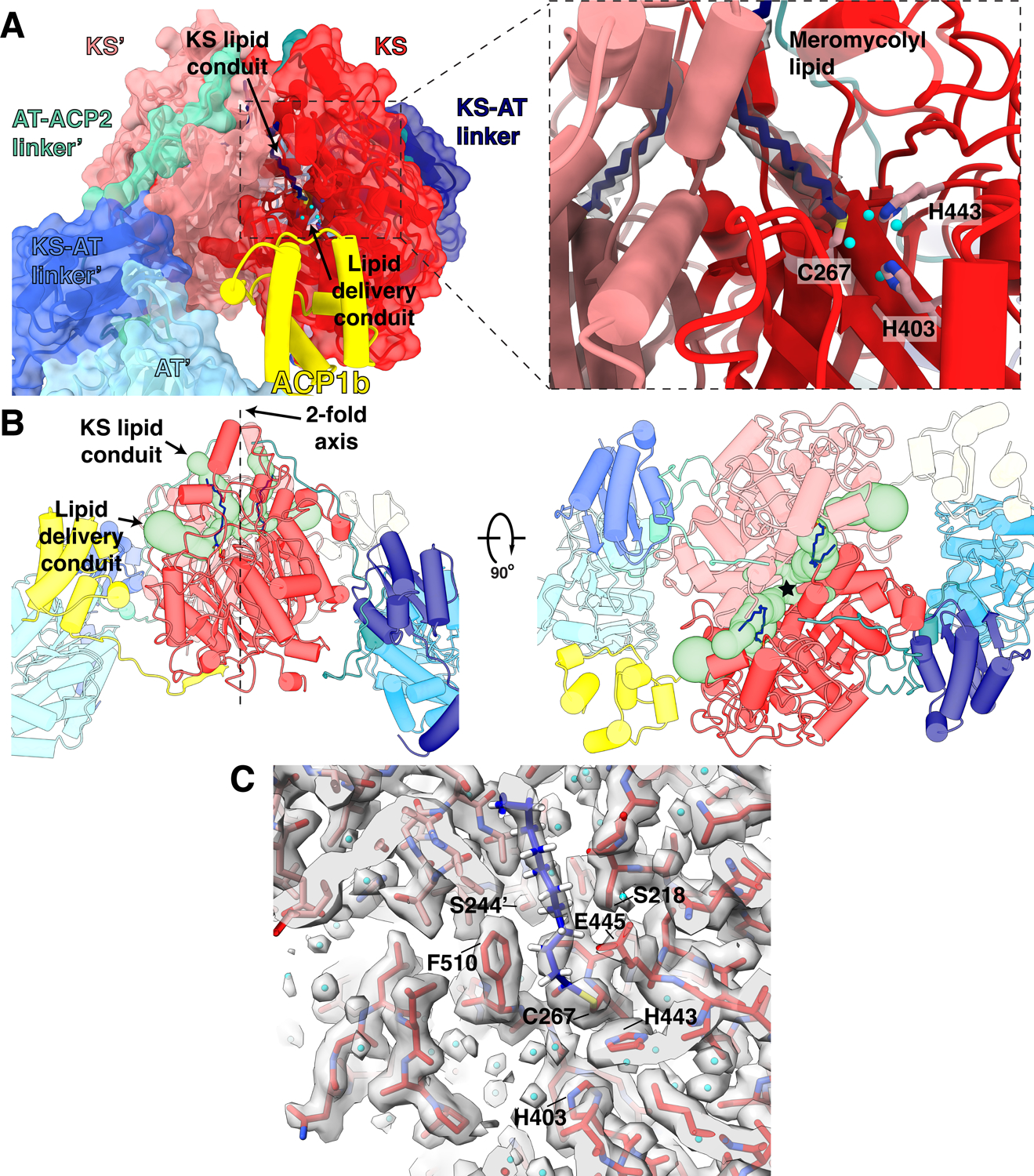 Fig 4.