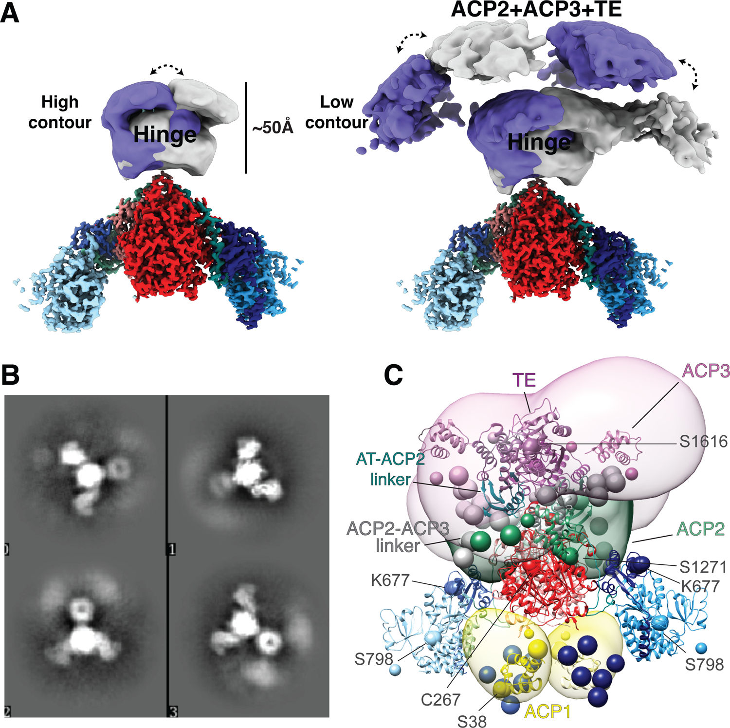 Fig 6.