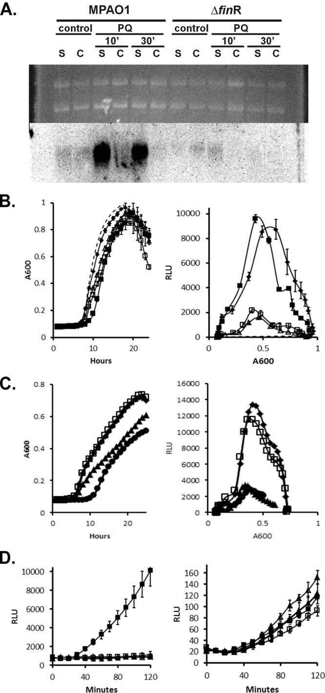 Fig 6