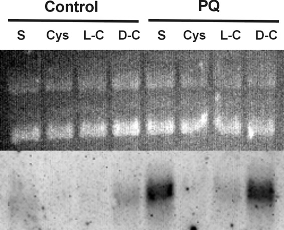 Fig 5