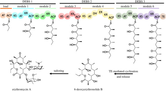 Figure 3. 