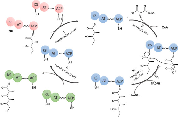 Figure 2. 