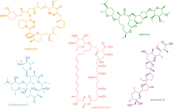 Figure 1. 