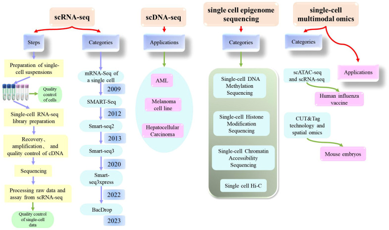 Figure 3