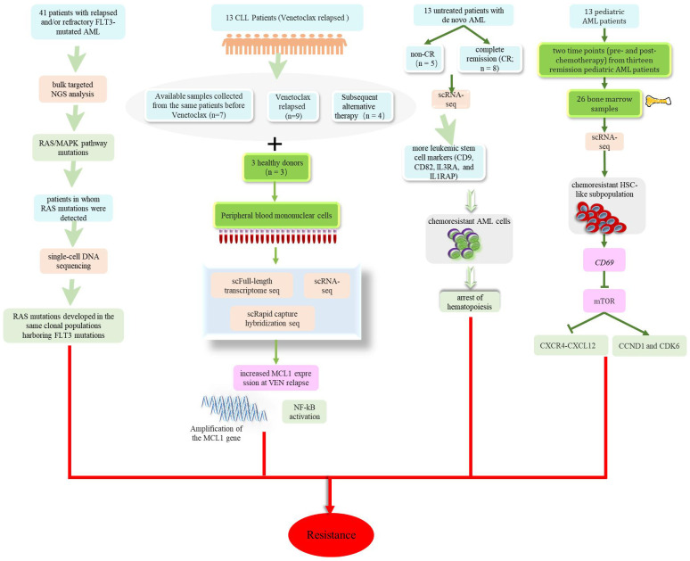 Figure 5