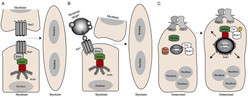 Figure 5.