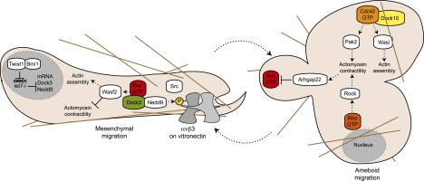 Figure 6.