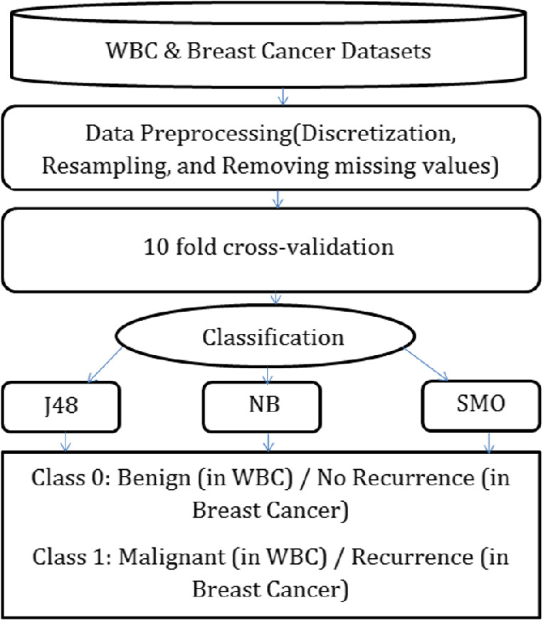 Fig. 1.