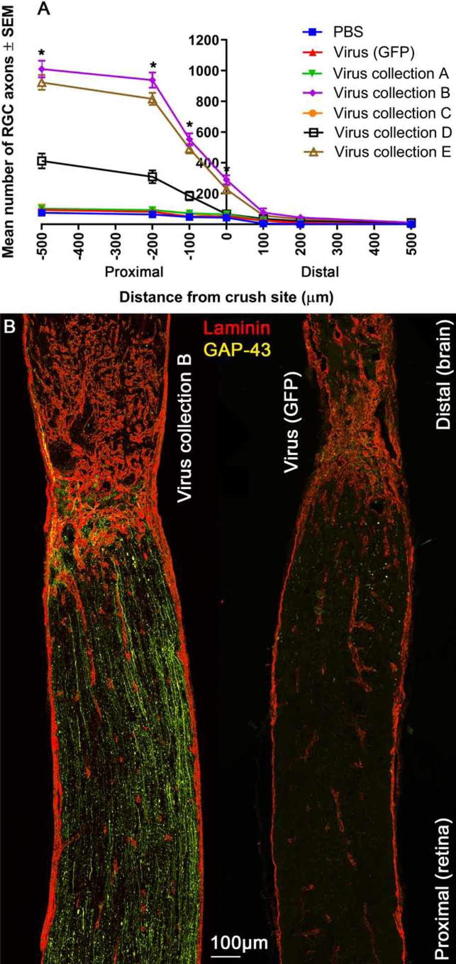 Figure 6: