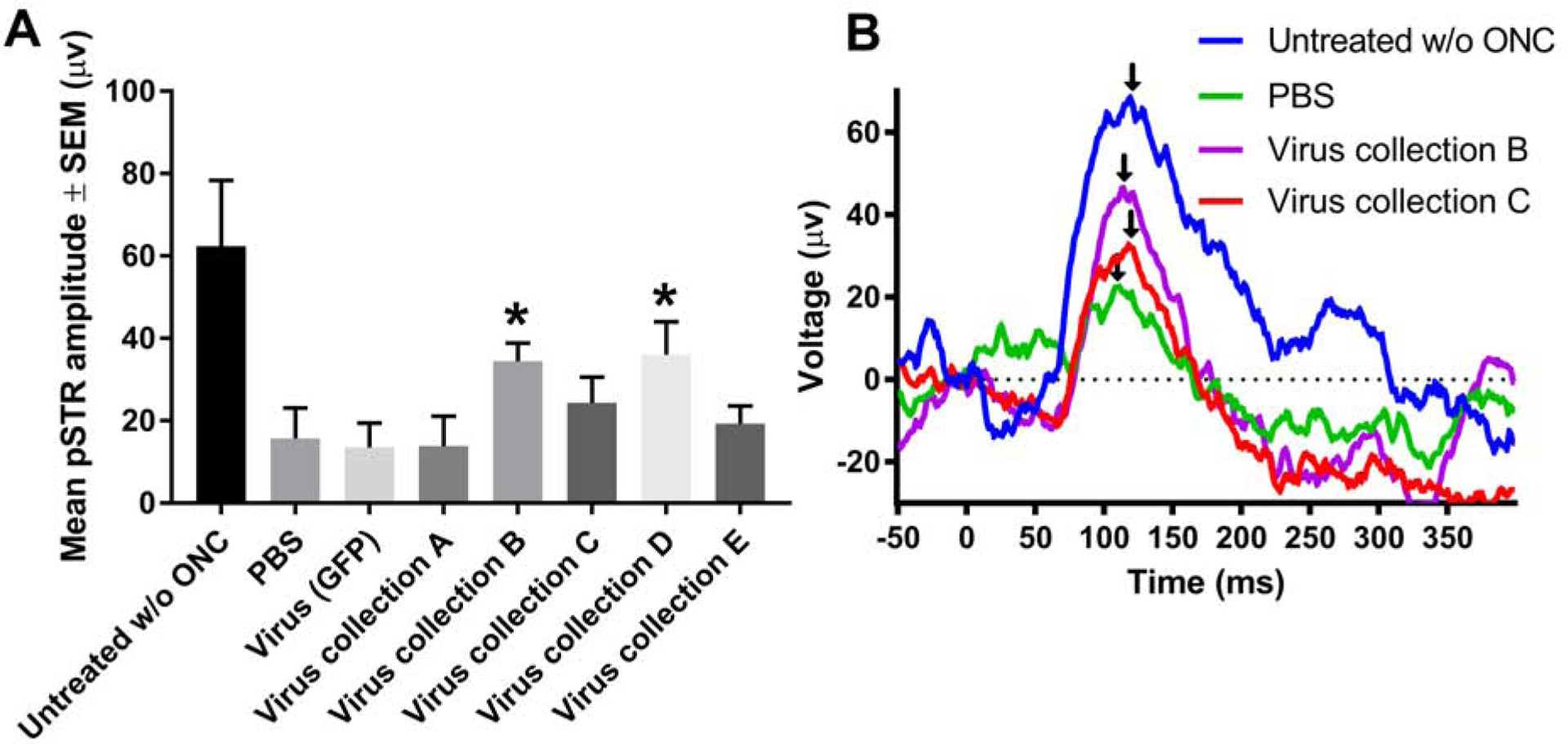 Figure 5: