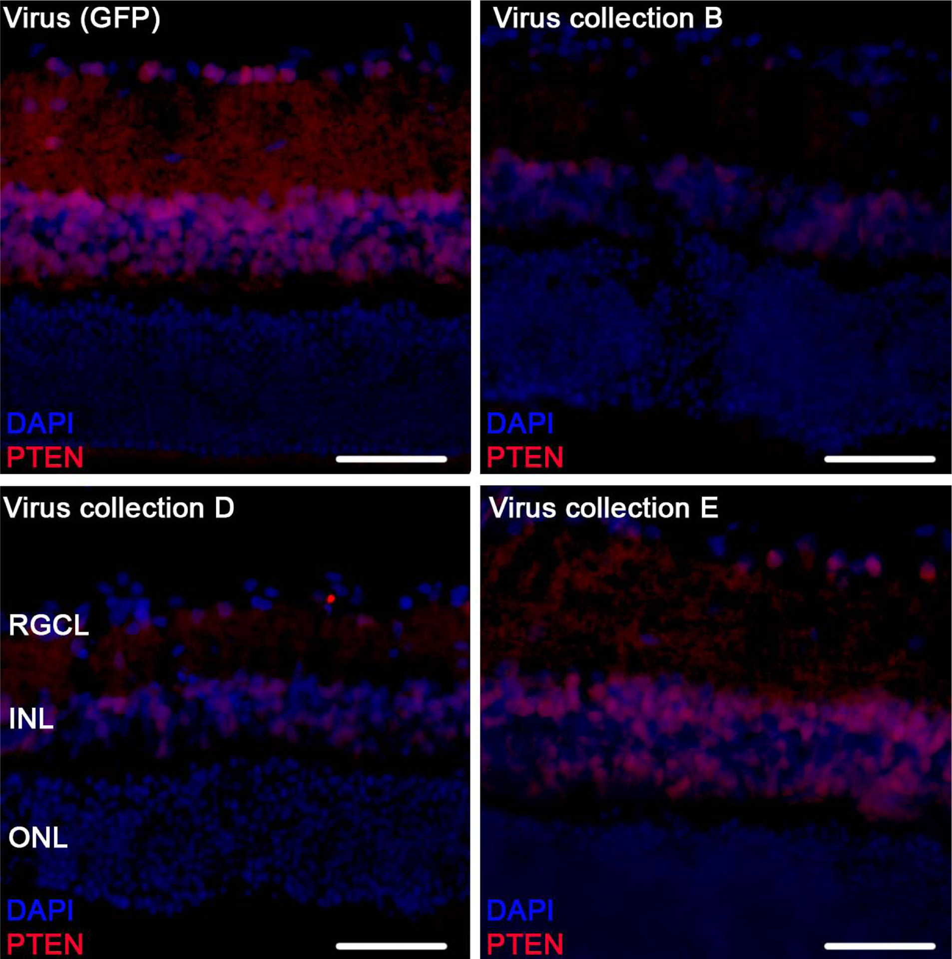 Figure 7: