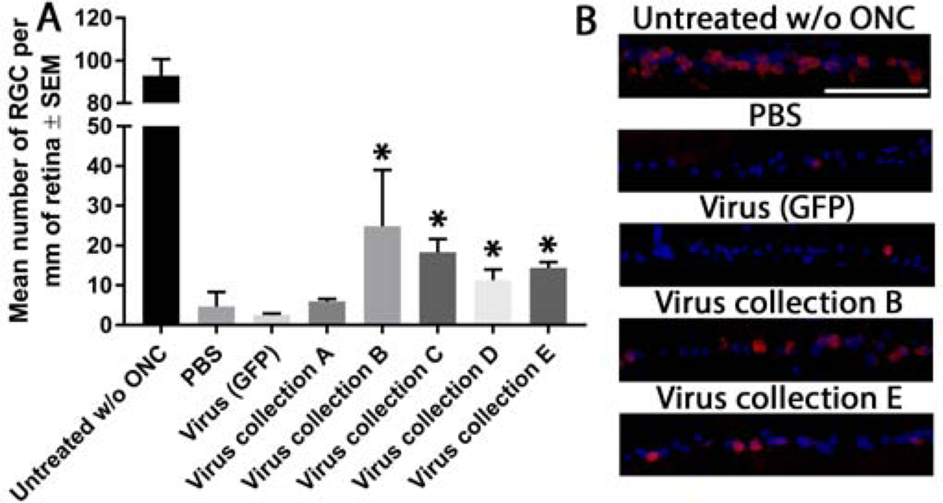 Figure 4: