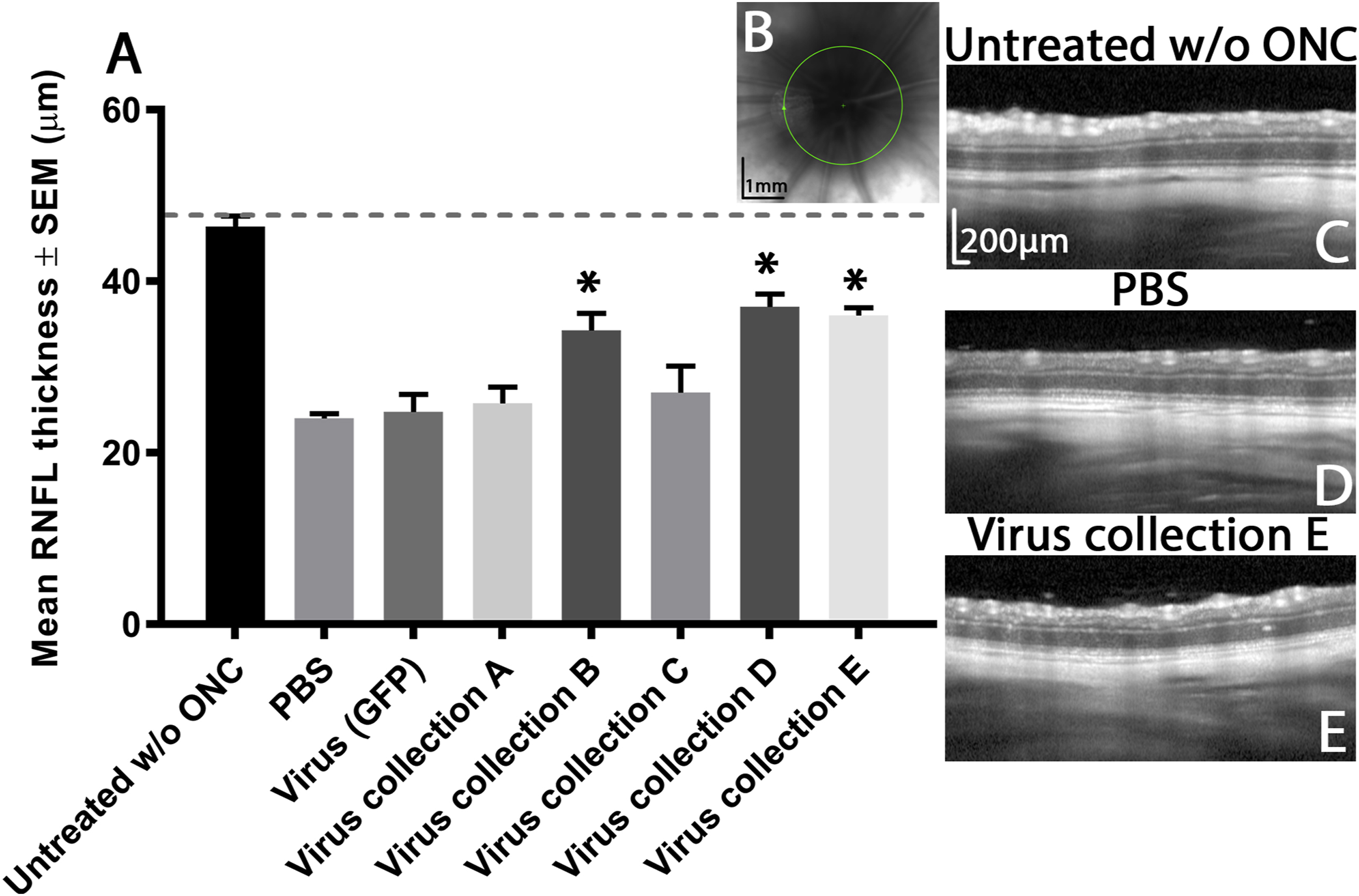 Figure 3: