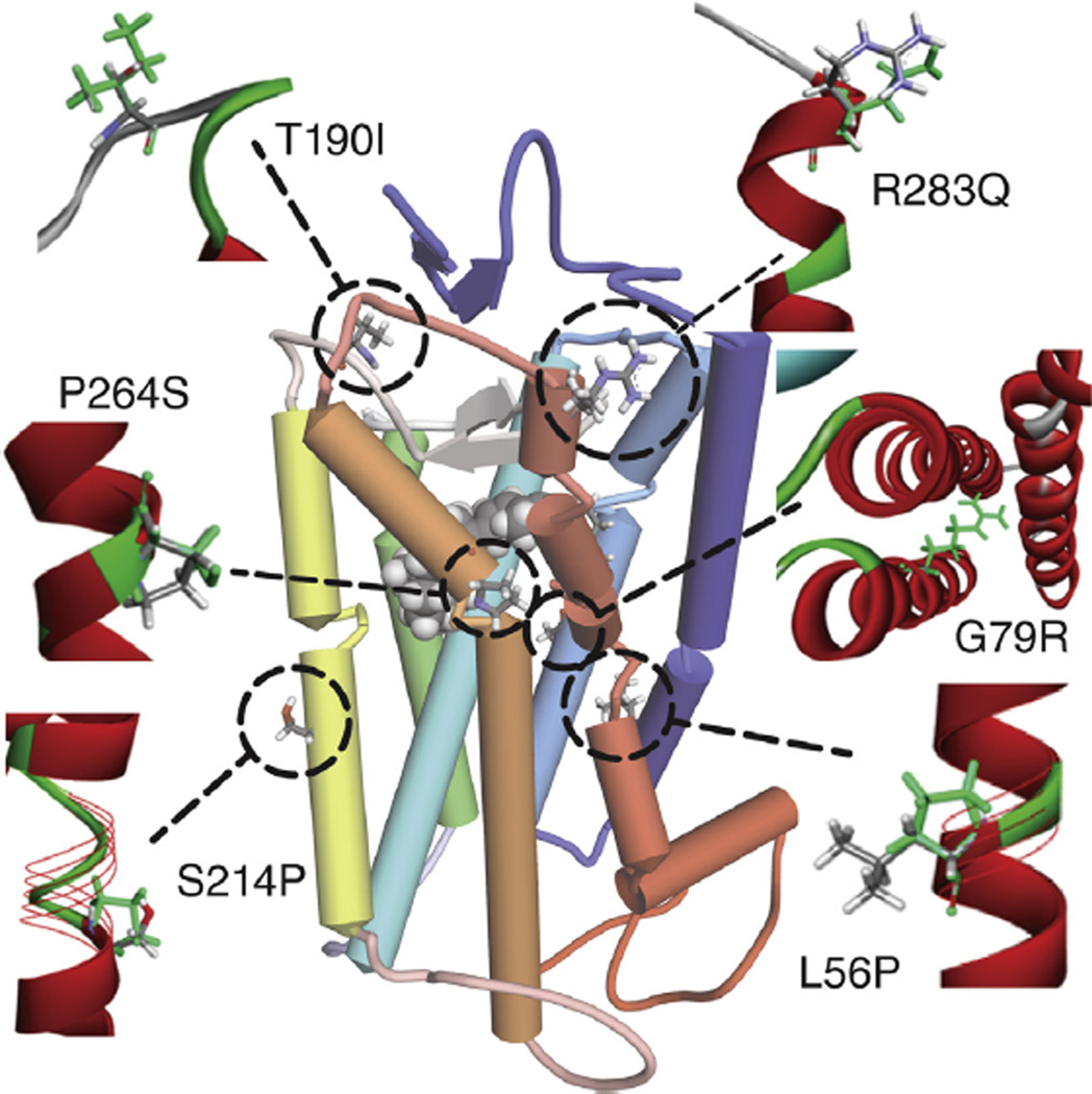 Fig. 6