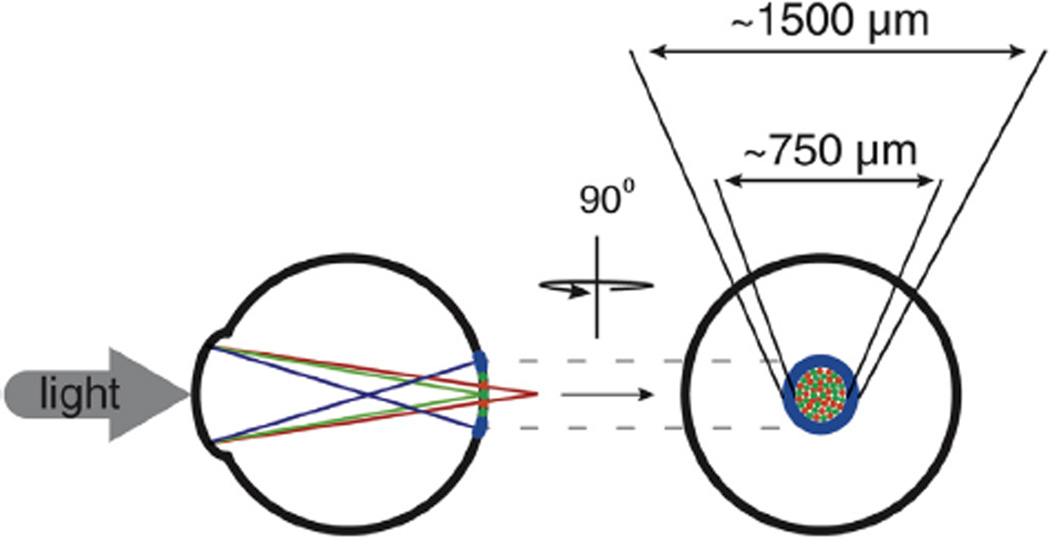 Fig. 9