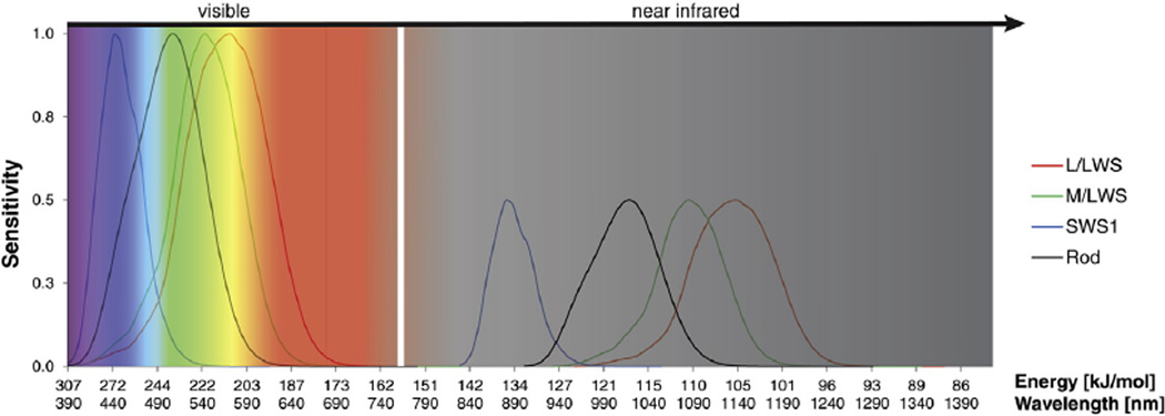 Fig. 1