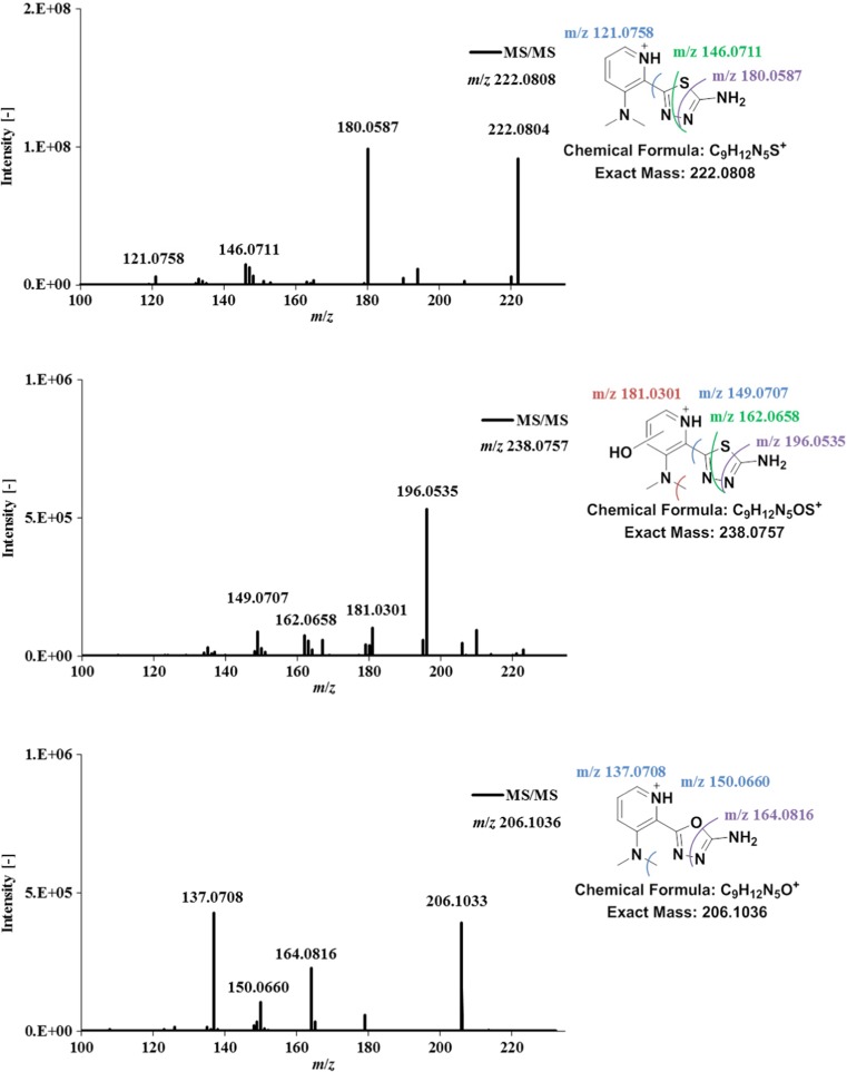 Fig. 7