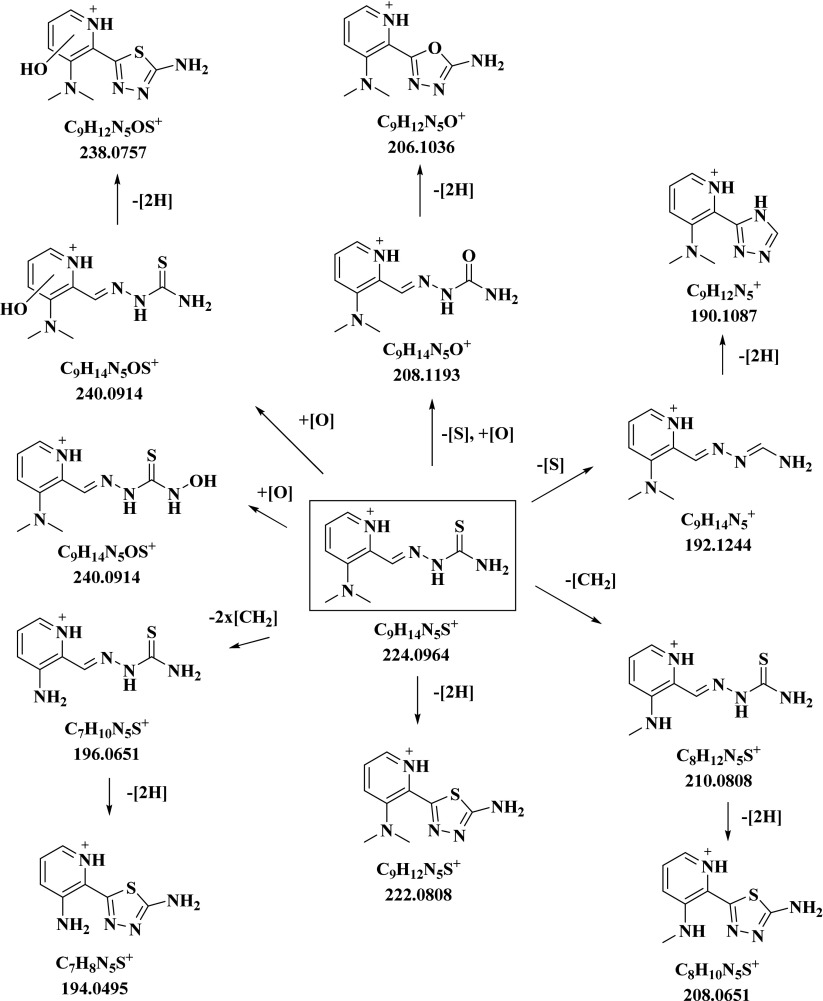 Scheme 3