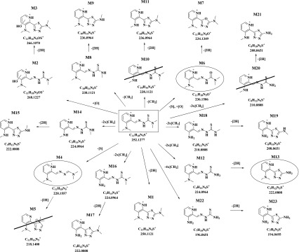 Scheme 4