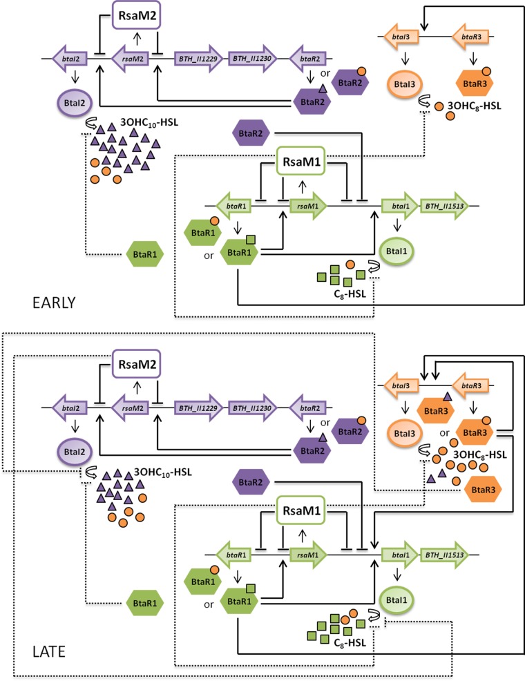 FIG 10