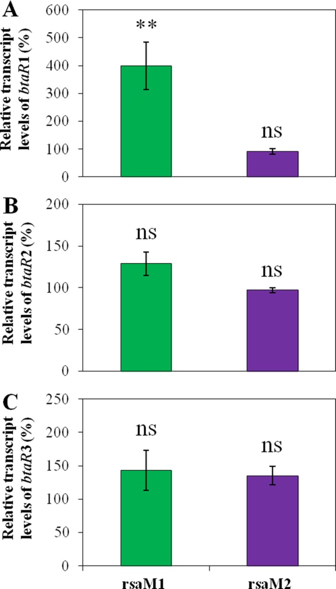 FIG 6