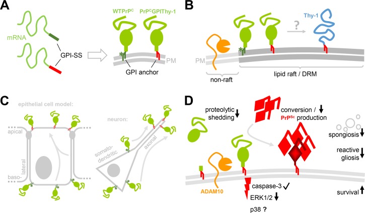 Fig 8