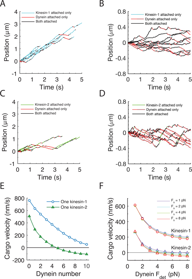 Figure 3: