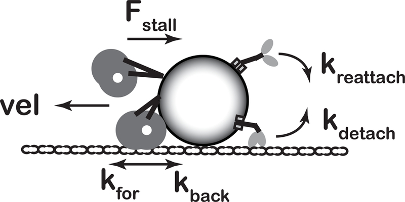 Figure 1: