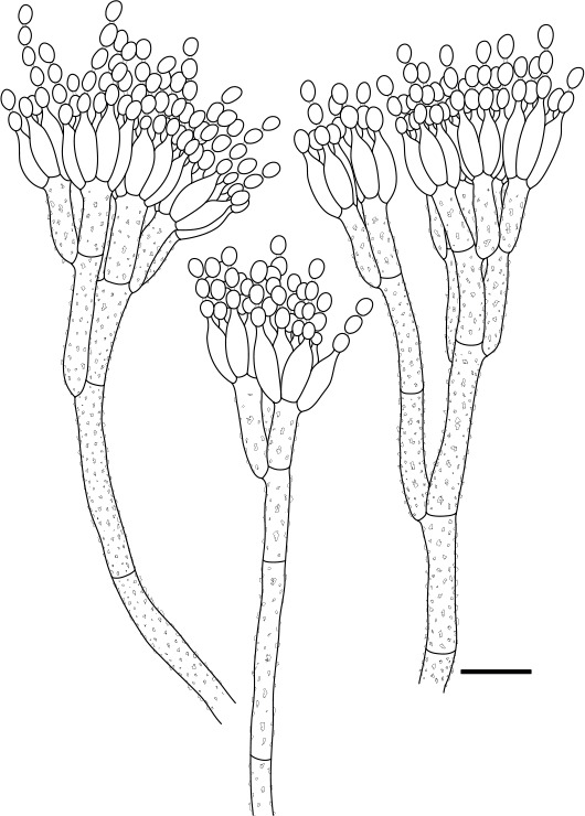 Fig. 3.