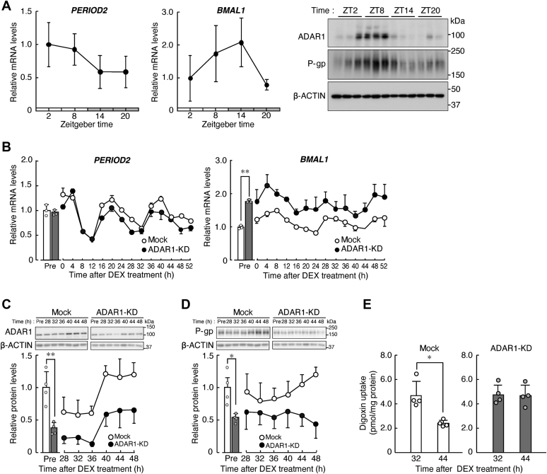 Figure 2