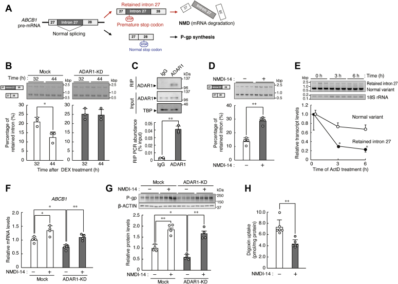 Figure 6