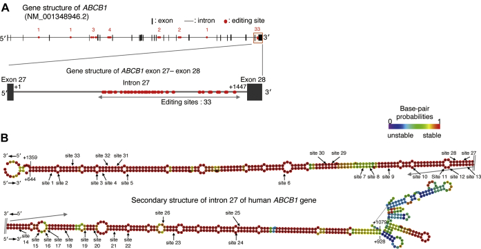 Figure 5