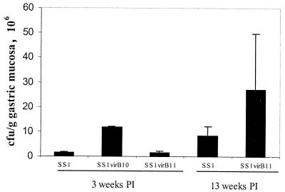 FIG. 3