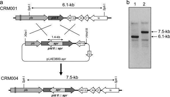 FIG. 4.