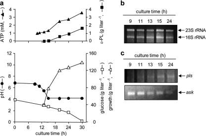 FIG. 6.