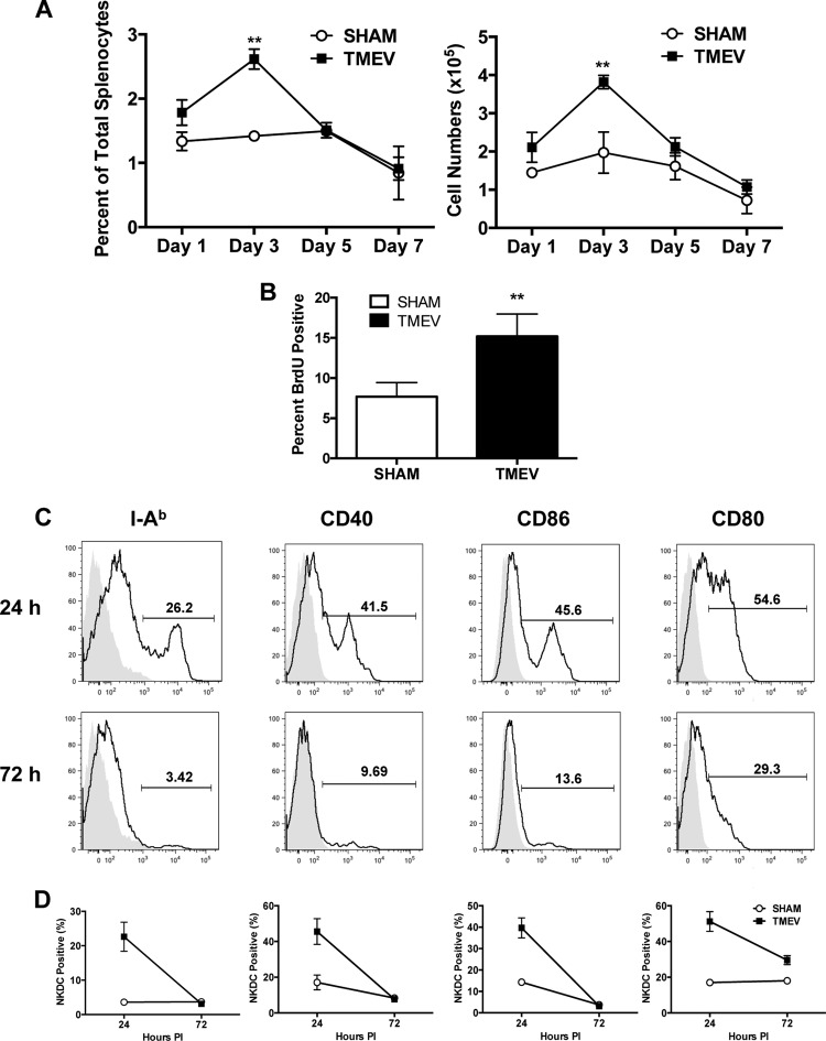 FIG 2 